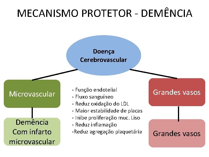 MECANISMO PROTETOR - DEMÊNCIA Doença Cerebrovascular Microvascular Demência Com infarto microvascular - Função endotelial