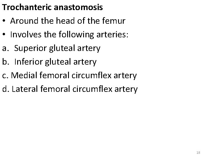 Trochanteric anastomosis • Around the head of the femur • Involves the following arteries:
