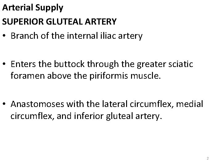 Arterial Supply SUPERIOR GLUTEAL ARTERY • Branch of the internal iliac artery • Enters