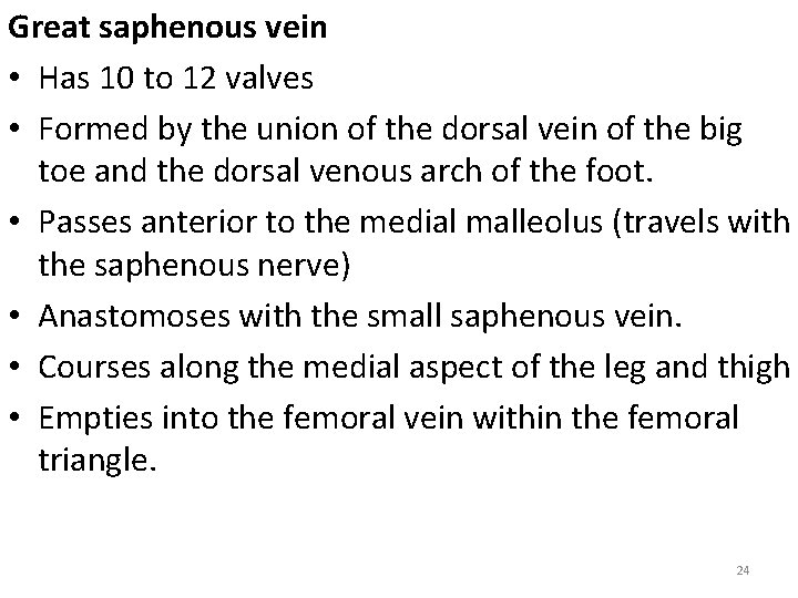 Great saphenous vein • Has 10 to 12 valves • Formed by the union
