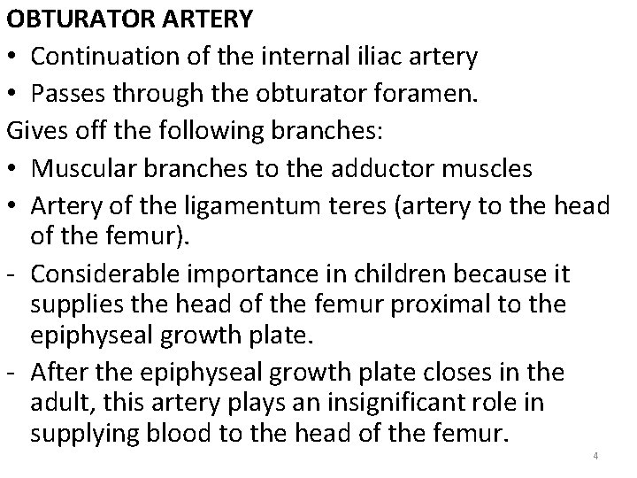 OBTURATOR ARTERY • Continuation of the internal iliac artery • Passes through the obturator