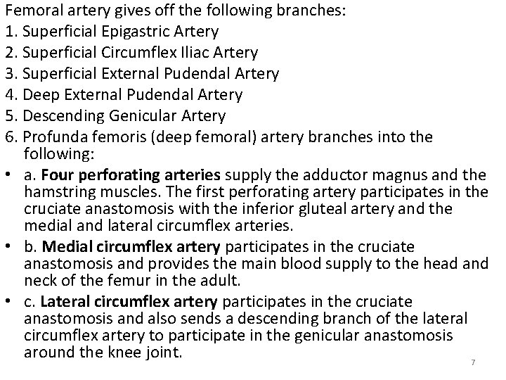 Femoral artery gives off the following branches: 1. Superficial Epigastric Artery 2. Superficial Circumflex