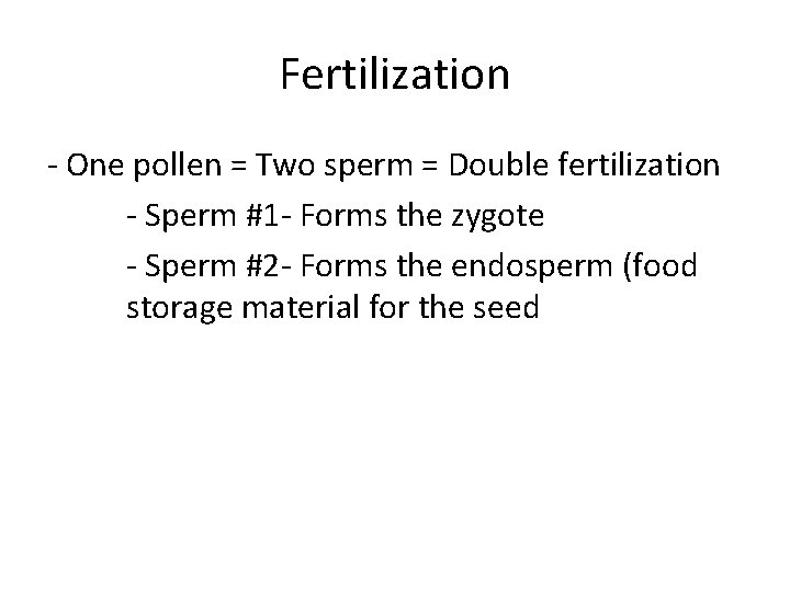 Fertilization - One pollen = Two sperm = Double fertilization - Sperm #1 -