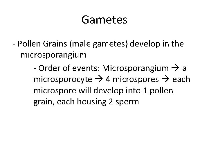 Gametes - Pollen Grains (male gametes) develop in the microsporangium - Order of events: Gametes - Pollen Grains (male gametes) develop in the microsporangium - Order of events: