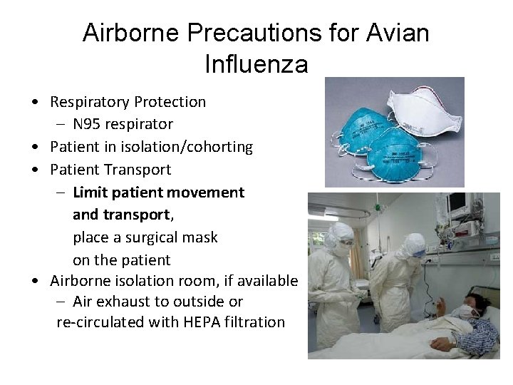 Airborne Precautions for Avian Influenza • Respiratory Protection – N 95 respirator • Patient