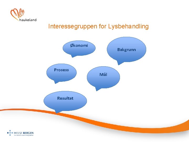 Interessegruppen for Lysbehandling Økonomi Prosess Resultat Bakgrunn Mål 