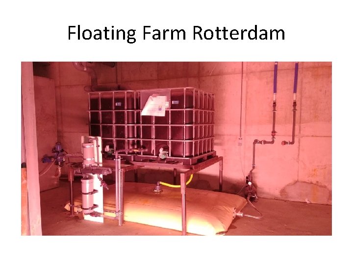 Floating Farm Rotterdam 
