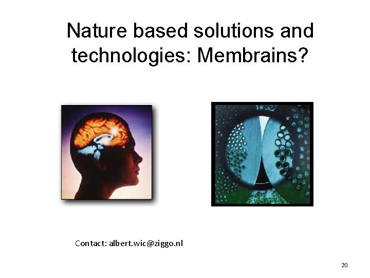 Nature based solutions and technologies: Membrains? Contact: albert. wic@ziggo. nl 20 