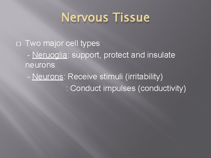 Nervous Tissue � Two major cell types - Neruoglia: support, protect and insulate neurons