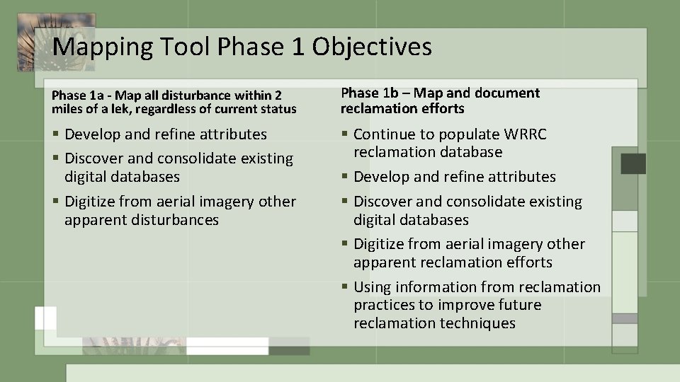 Mapping Tool Phase 1 Objectives Phase 1 a - Map all disturbance within 2