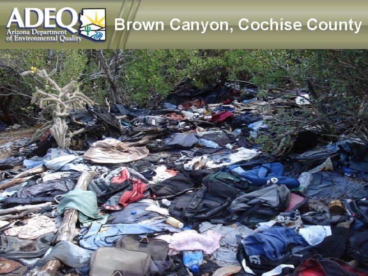 Brown Canyon, Cochise County 