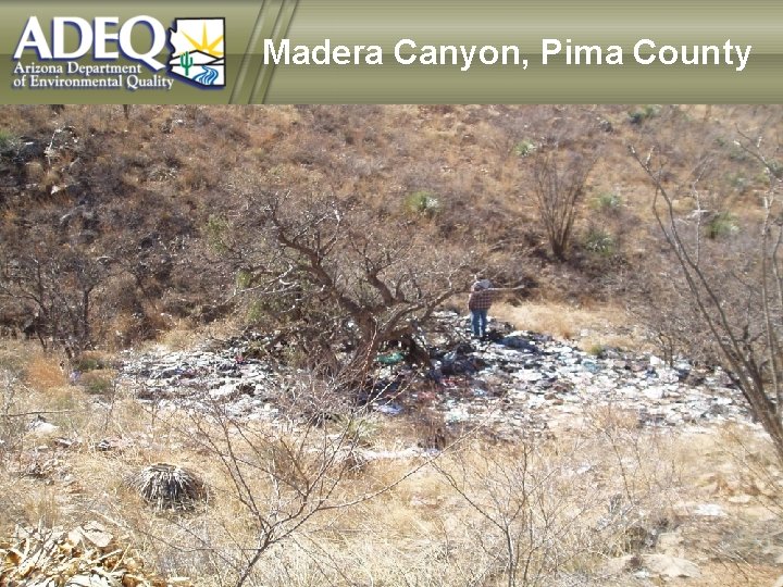 Madera Canyon, Pima County 
