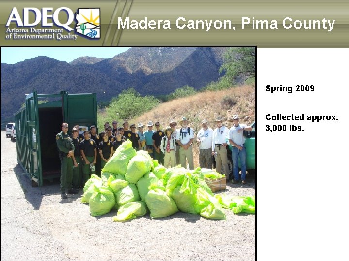 Madera Canyon, Pima County Spring 2009 Collected approx. 3, 000 lbs. 