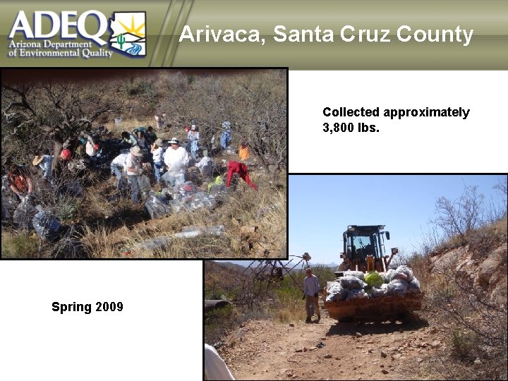 Arivaca, Santa Cruz County Collected approximately 3, 800 lbs. Spring 2009 