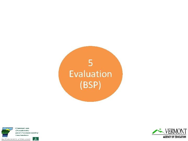 5 Evaluation (BSP) 