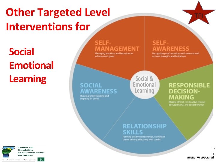 Other Targeted Level Interventions for Social Emotional Learning TFI 