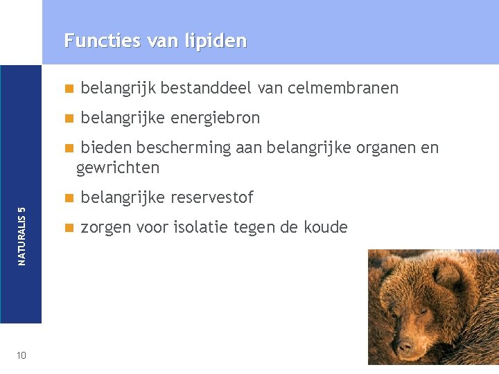 Functies van lipiden n belangrijk bestanddeel van celmembranen n belangrijke energiebron NATURALIS 5 n