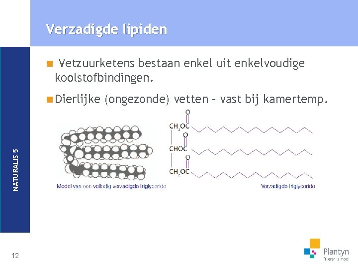 Verzadigde lipiden n Vetzuurketens bestaan enkel uit enkelvoudige koolstofbindingen. NATURALIS 5 n Dierlijke 12