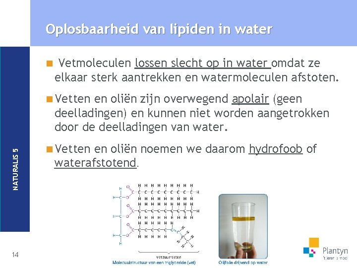 Oplosbaarheid van lipiden in water n Vetmoleculen lossen slecht op in water omdat ze