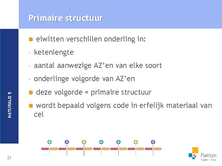 Primaire structuur NATURALIS 5 n 21 eiwitten verschillen onderling in: - ketenlengte - aantal