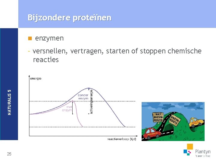 Bijzondere proteïnen n enzymen NATURALIS 5 - versnellen, vertragen, starten of stoppen chemische reacties