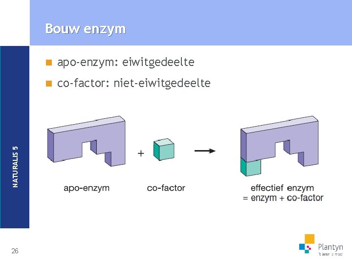 NATURALIS 5 Bouw enzym 26 n apo-enzym: eiwitgedeelte n co-factor: niet-eiwitgedeelte 