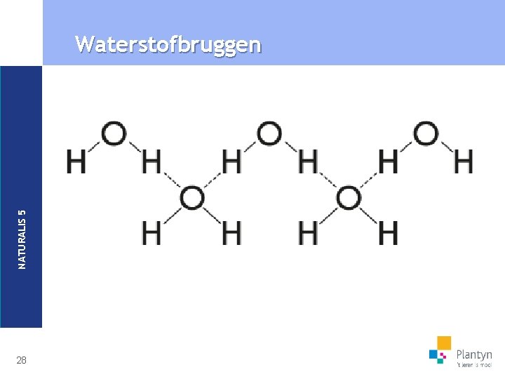 NATURALIS 5 Waterstofbruggen 28 