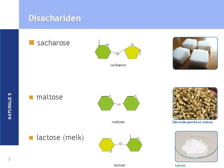 Disachariden NATURALIS 5 n sacharose 7 n maltose n lactose (melk) 