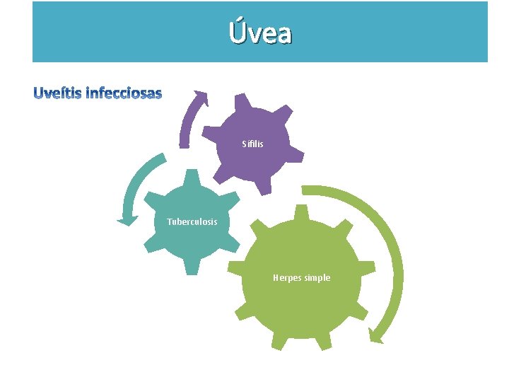 Úvea Sífilis Tuberculosis Herpes simple 