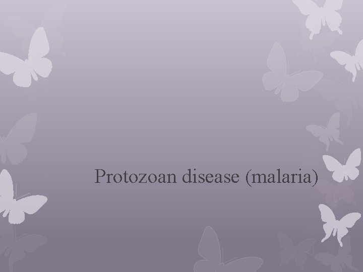 Protozoan disease (malaria) 