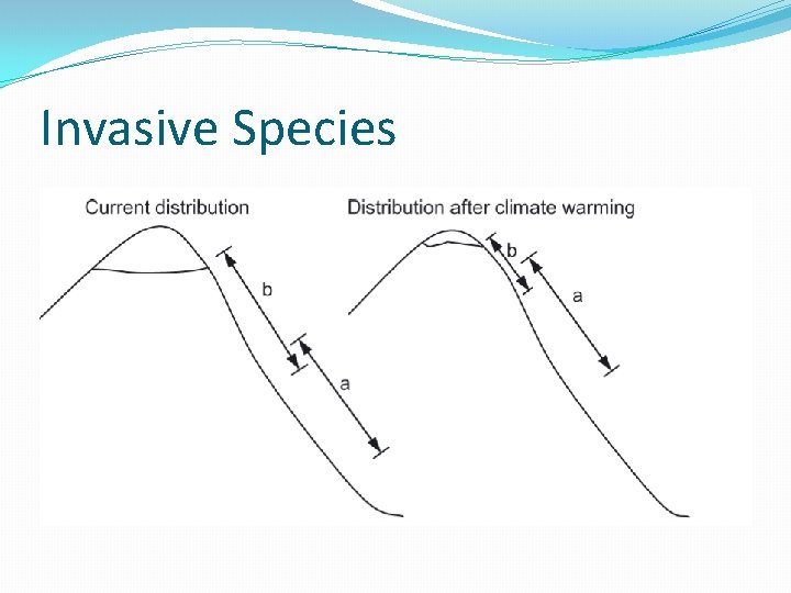 Invasive Species 