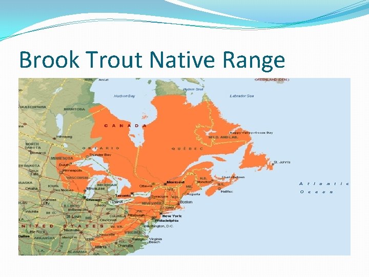 Brook Trout Native Range 