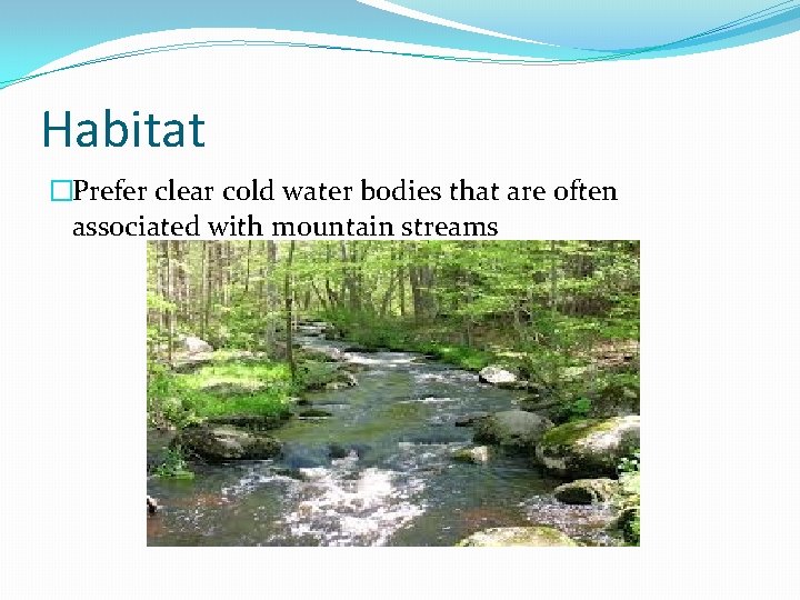 Habitat �Prefer clear cold water bodies that are often associated with mountain streams 