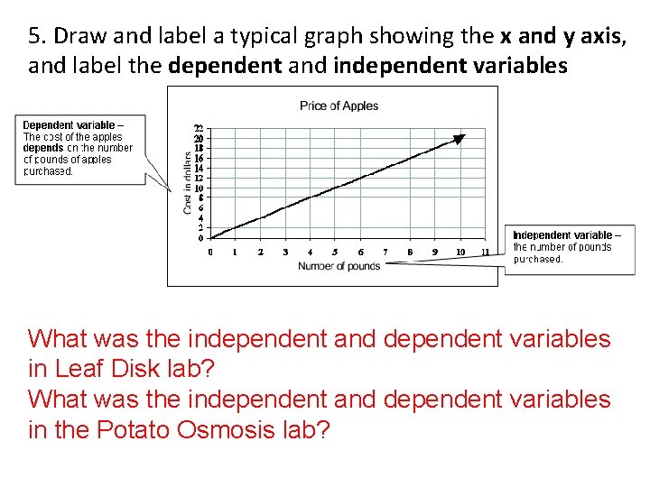 5. Draw and label a typical graph showing the x and y axis, and