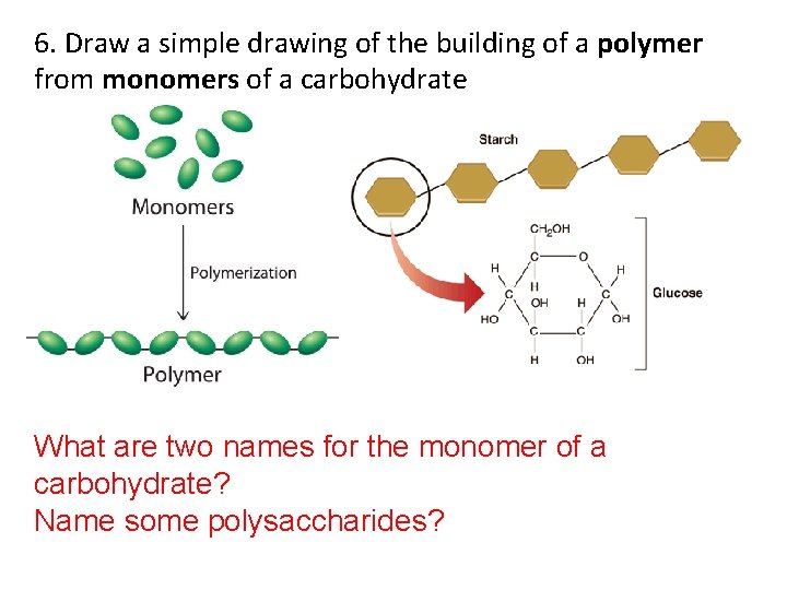 6. Draw a simple drawing of the building of a polymer from monomers of