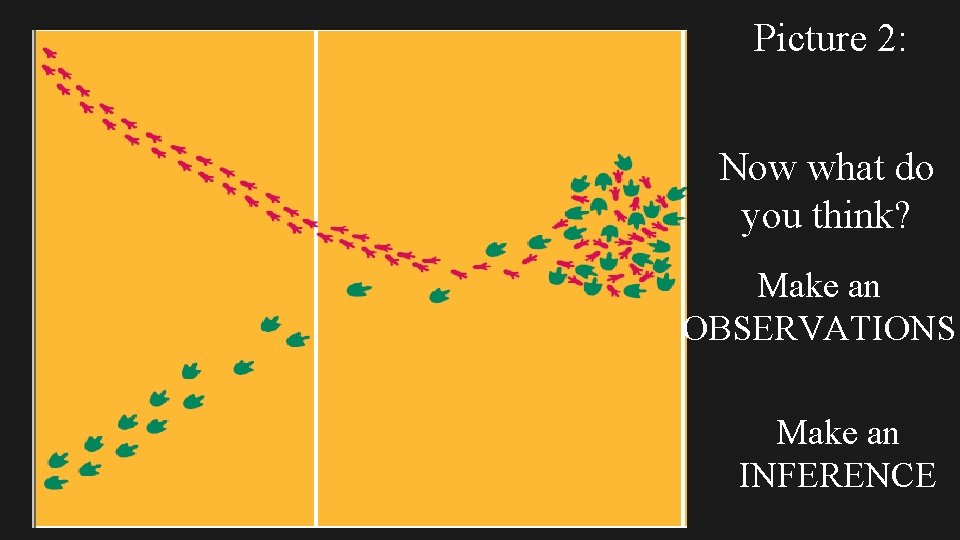 Picture 2: Now what do you think? Make an OBSERVATIONS Make an INFERENCE 
