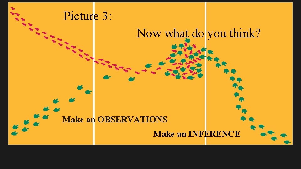 Picture 3: Now what do you think? Make an OBSERVATIONS Make an INFERENCE 