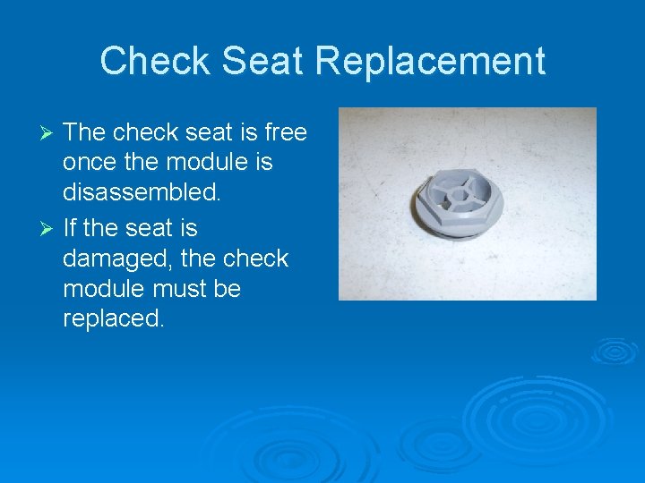 Check Seat Replacement The check seat is free once the module is disassembled. Ø