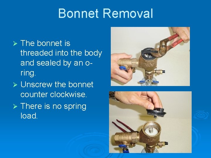 Bonnet Removal The bonnet is threaded into the body and sealed by an oring.