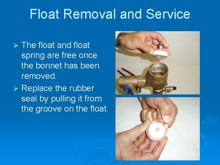 Float Removal and Service The float and float spring are free once the bonnet