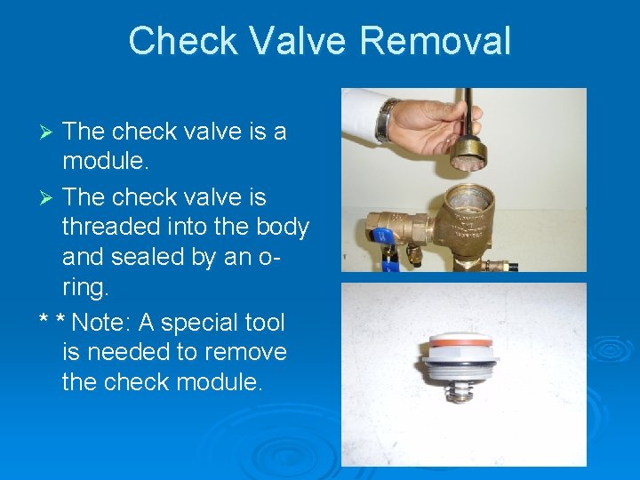 Check Valve Removal The check valve is a module. Ø The check valve is