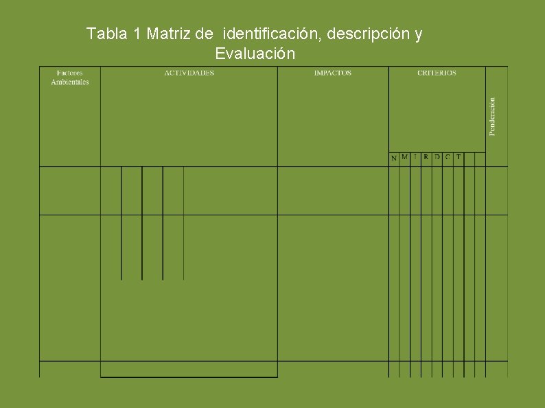 Tabla 1 Matriz de identificación, descripción y Evaluación 