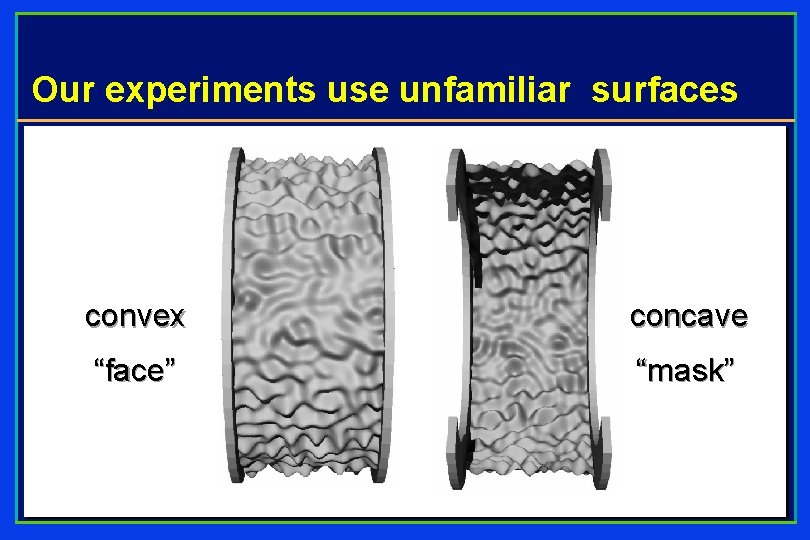 Our experiments use unfamiliar surfaces convex concave “face” “mask” 