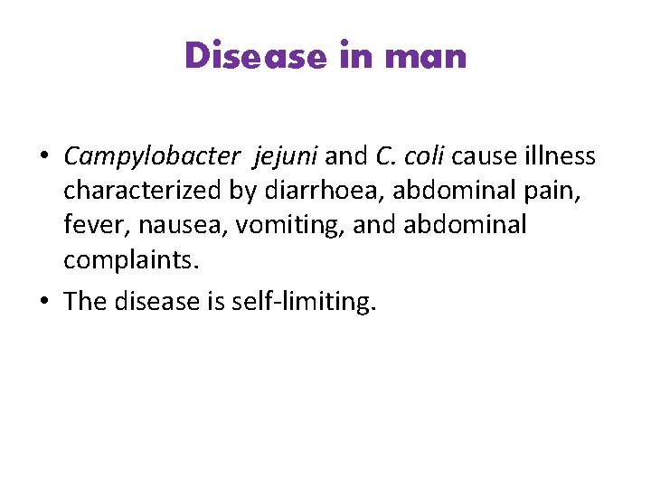 Disease in man • Campylobacter jejuni and C. coli cause illness characterized by diarrhoea,