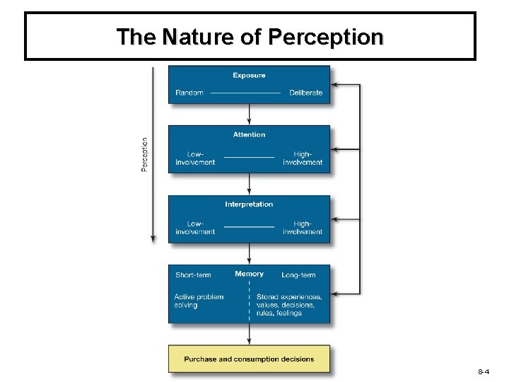 The Nature of Perception 8 -4 