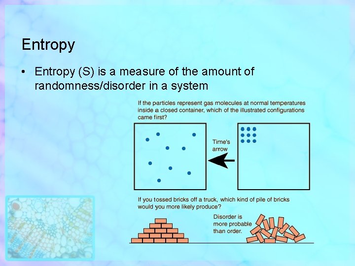 Entropy • Entropy (S) is a measure of the amount of randomness/disorder in a