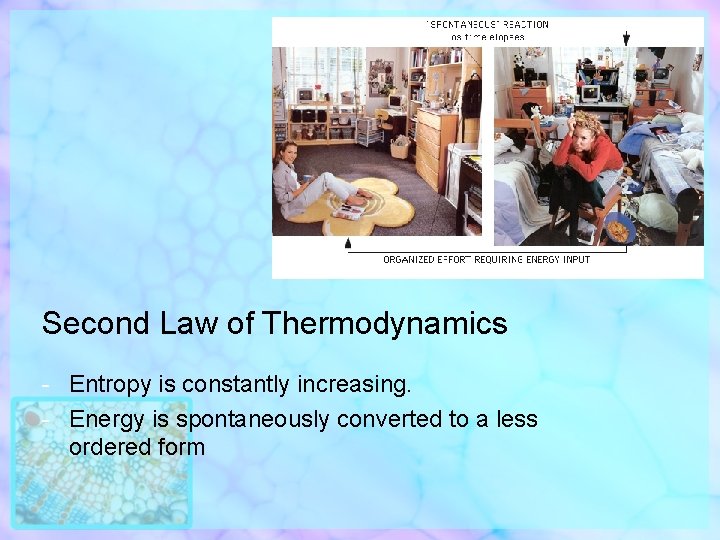 Second Law of Thermodynamics - Entropy is constantly increasing. - Energy is spontaneously converted