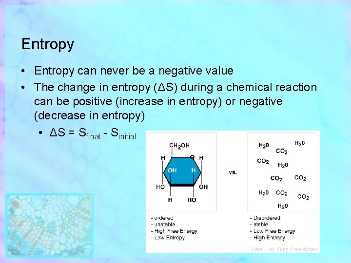 Entropy • Entropy can never be a negative value • The change in entropy