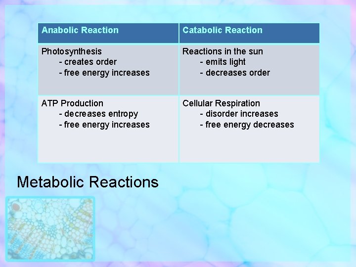 Anabolic Reaction Catabolic Reaction Photosynthesis - creates order - free energy increases Reactions in