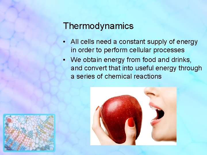 Thermodynamics • All cells need a constant supply of energy in order to perform